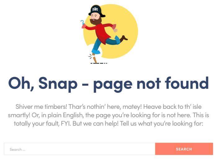 Custom 404 page wordpress