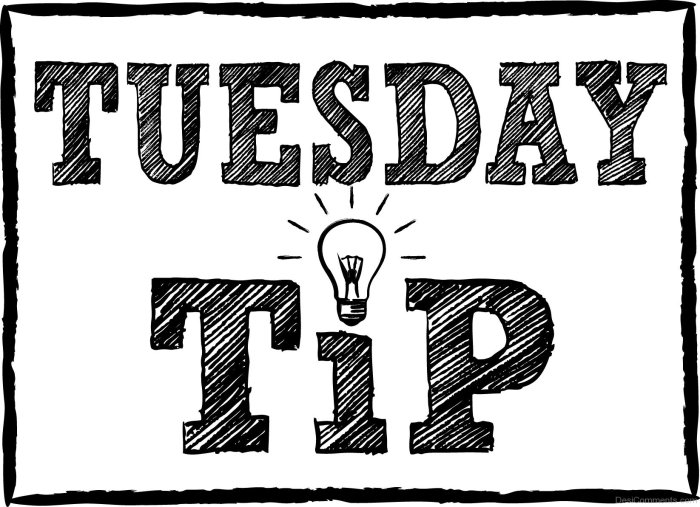 Wordpress website mobile friendly make min tips blog web creation d5 Top tip tuesday is your website mobile friendly