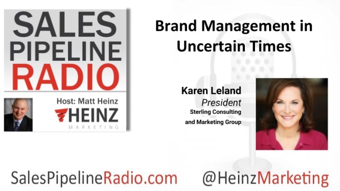 Ae marketing using your brand to generate growth in an age of uncertainty