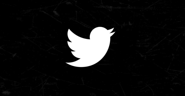Twitter multimedia sharing platform