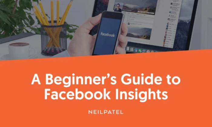 Strategy stuller Guide to facebook insights