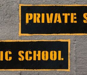 Competitive analysis private schools