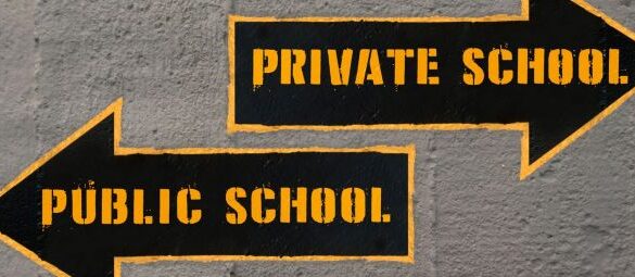 Competitive analysis private schools