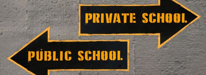 Competitive analysis private schools