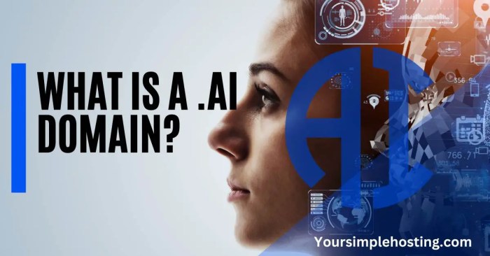 Ai domain migrated to a more secure platform