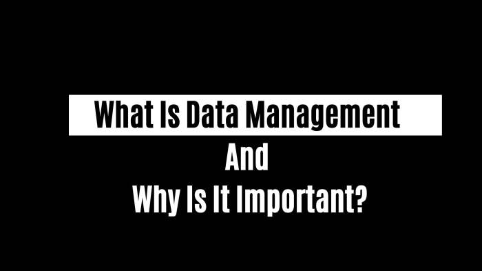 Why is data management important to your business