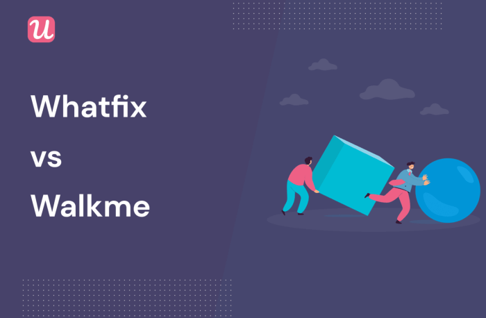 Pendo vs whatfix comparison maximizing success with customer feedback