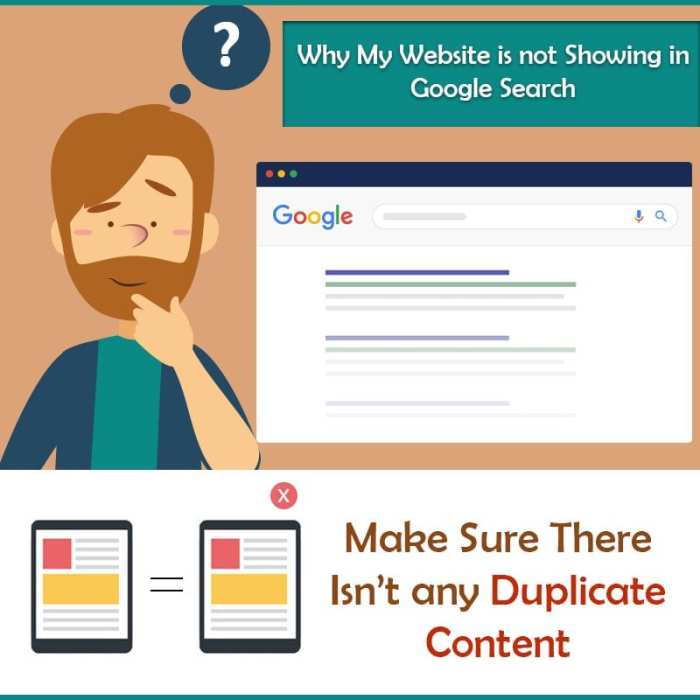 Site not showing up on google