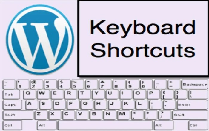 How to add arrow key keyboard navigation in wordpress