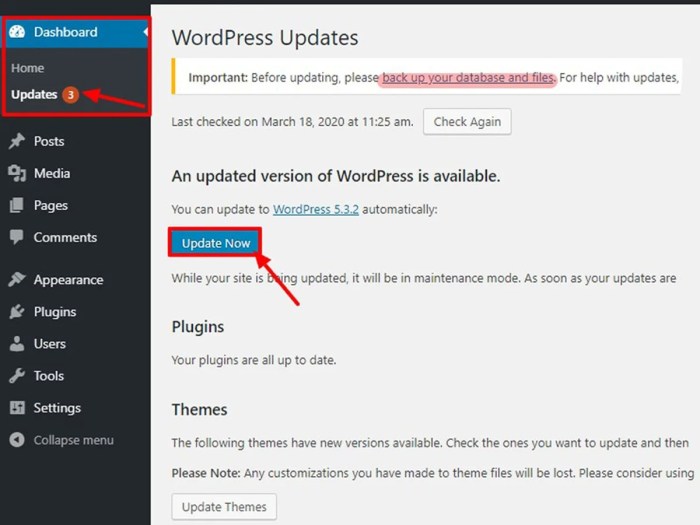 How to check and update to the latest wordpress version