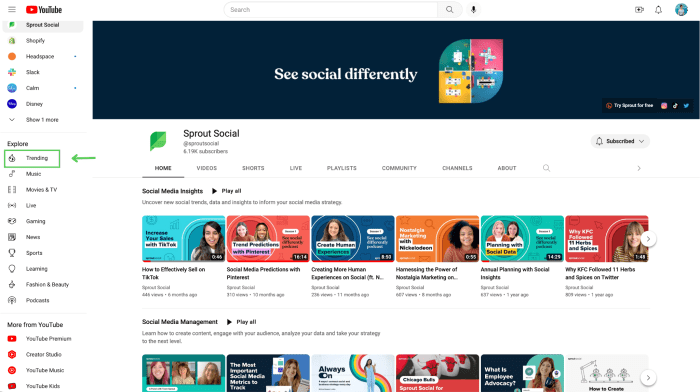 Top three youtube trends pay attention to right now