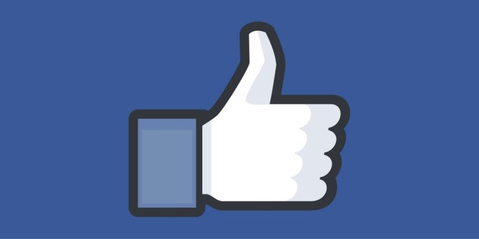How to add facebook like button in wordpress