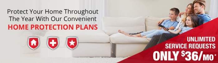 Real cost diy vs expert pest control marketing