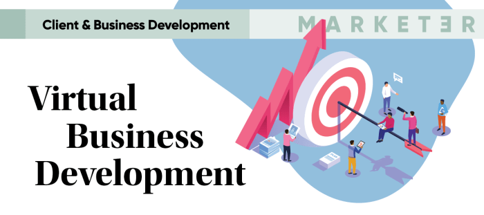Digital Marketing Strategies for Professional Services Virtual marketing and business development for the professional services