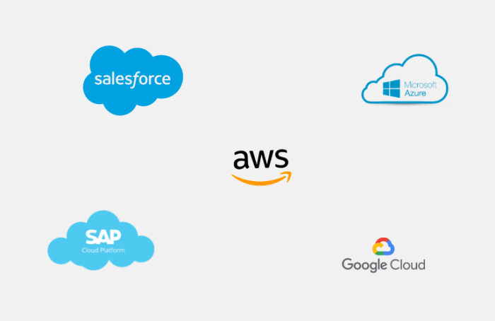 Amazon aws vs salesforce platform