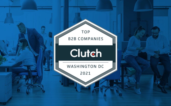 Top b2b website design company according to designrush