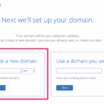 How to buy a domain name