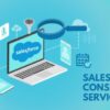 Real cost of salesforce consulting services