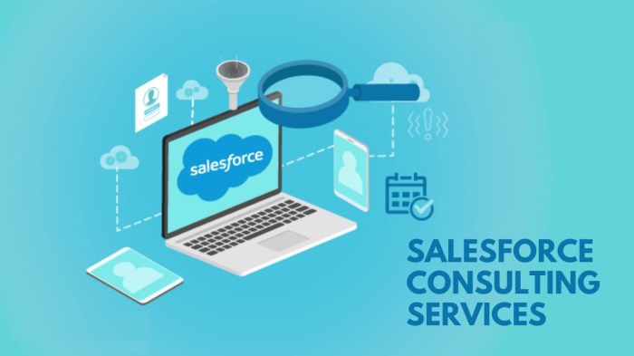 Real cost of salesforce consulting services