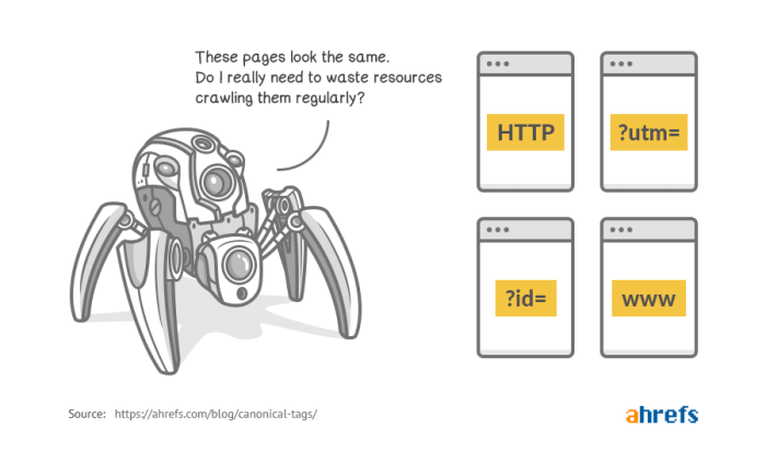 A beginners guide to canonical tags infographics