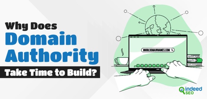 How long does it take to grow domain authority