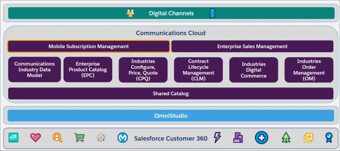 Explore Salesforce Subscription Management | Salesforce Trailhead Salesforce subscription management automation