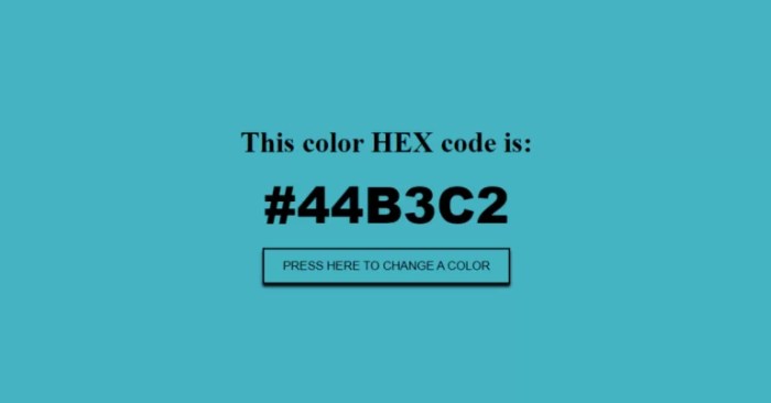 Random color generator hex code