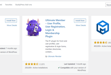 How to add conditional logic to menus in wordpress