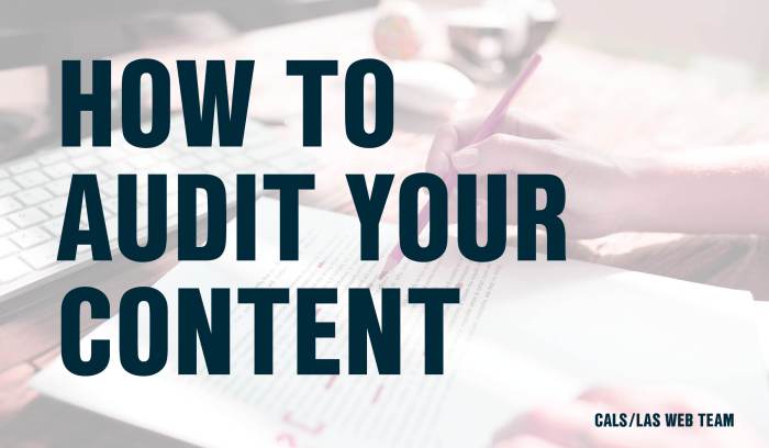 Audit improve professionally seo how blog 2020 may Why is a content audit useful