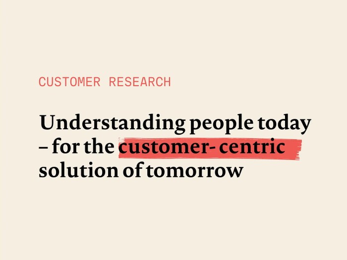 Online customer research guide