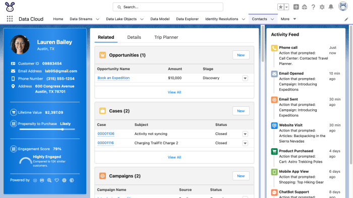Transforming customer experiences with salesforce cdp