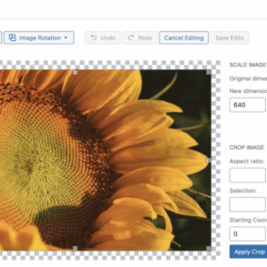 How to get image size and crop in wordpress