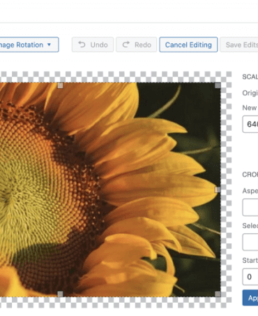 How to get image size and crop in wordpress