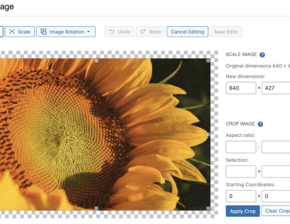 How to get image size and crop in wordpress