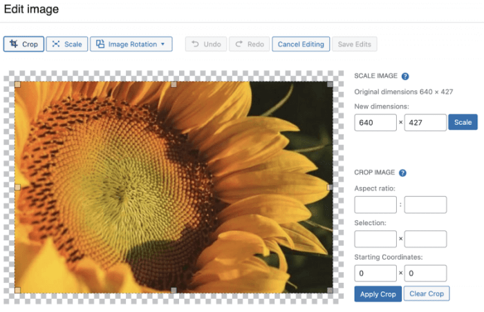 How to get image size and crop in wordpress