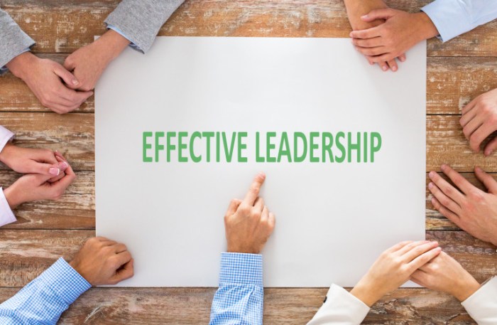 Manage a sales team