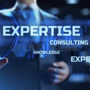 What is a visible expert