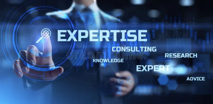 What is a visible expert