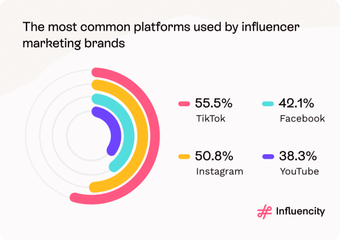 Tiktok ads achieve highest short term roi says dentsu study