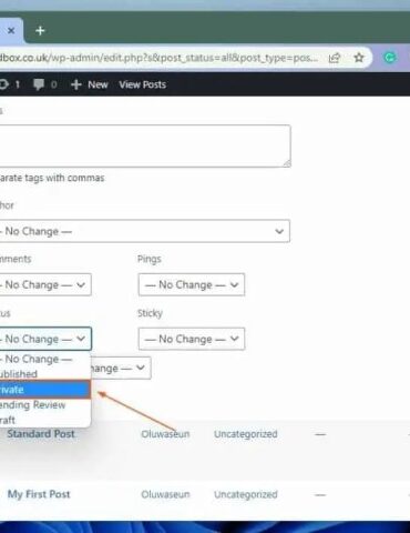 How to hide noindex pdf files in wordpress