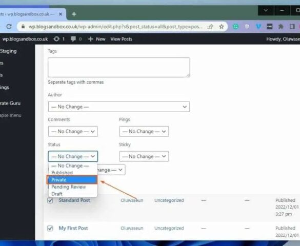 How to hide noindex pdf files in wordpress