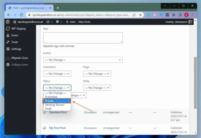 How to hide noindex pdf files in wordpress