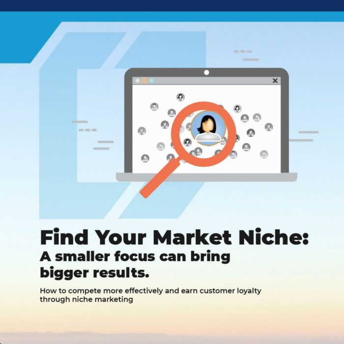 Niche razorpay Niche razorpay