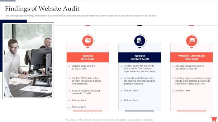 Optimized website audit digital marketing case study