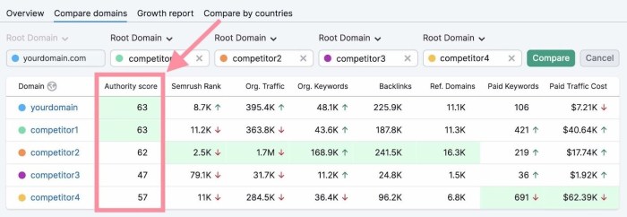 What is an seo score