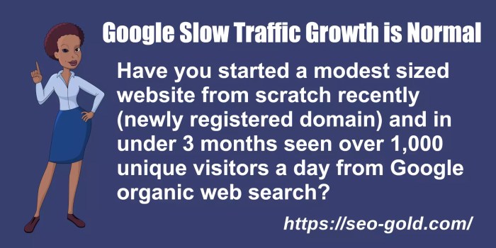 Traffic search google what marketers means death me forced grabbed terrified gaze saw paragraph dove future eyes into one Google search traffic decline inevitable