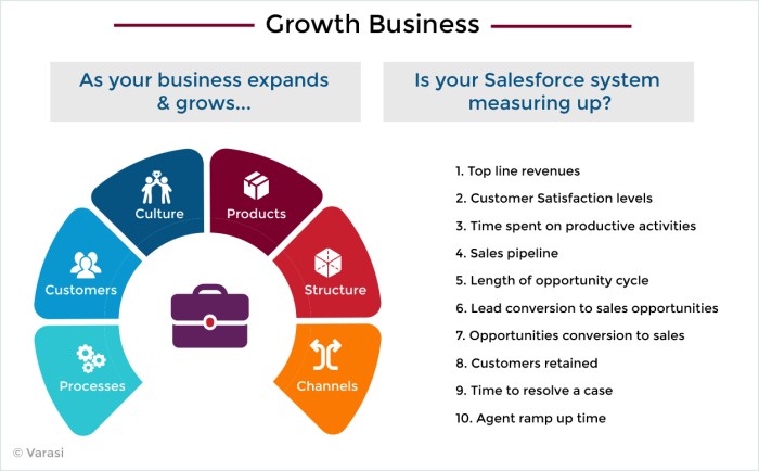 Salesforce growth business realize Unveiling the best salesforce pricing plans to boost your business success