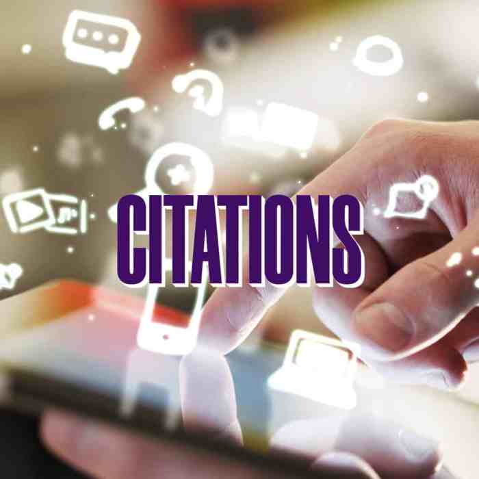 Local seo manually citations build listing will top or Local seo manually citations build listing will top or