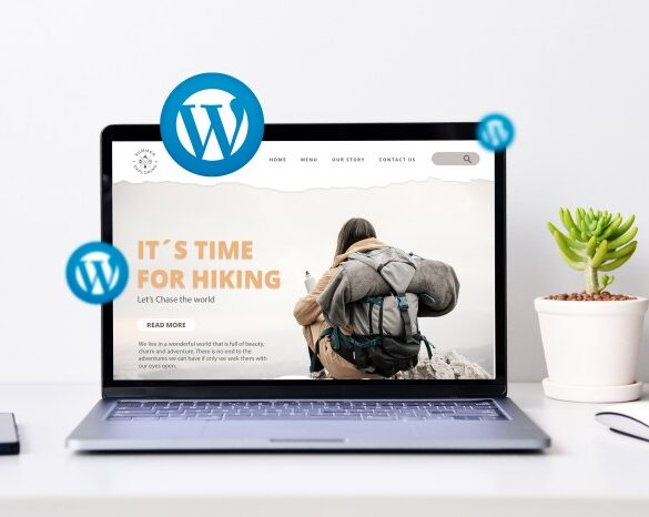 Much custom wordpress website cost