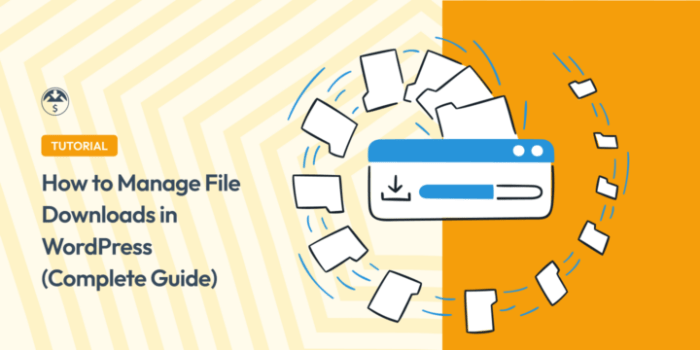 How to manage track and control file downloads in wordpress